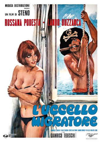 L'uccello migratore